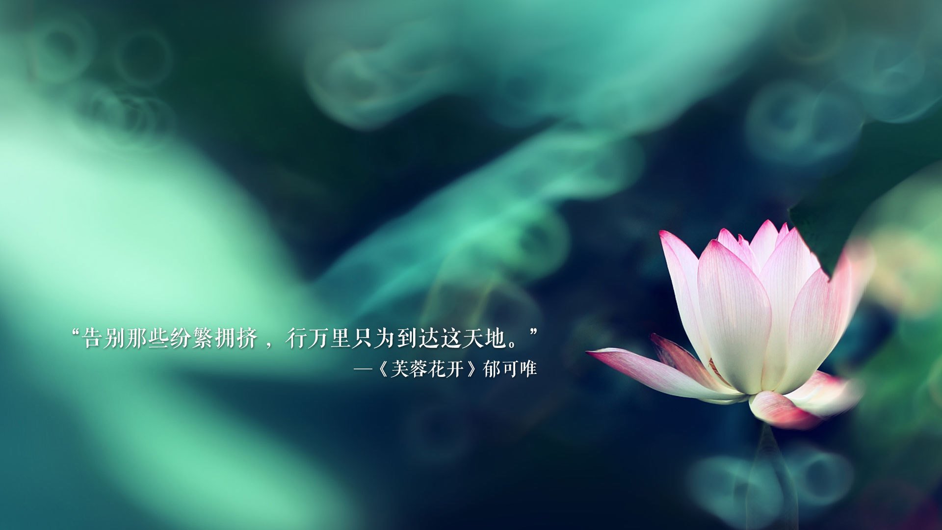 开云官方-里昂青训再获佳绩，迎来未来新希望，里昂集锦