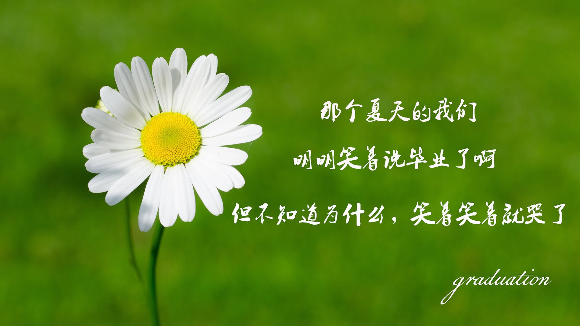 Kaiyun官方登录入口-中国篮球青训基地管理模式，青年篮球培训基地