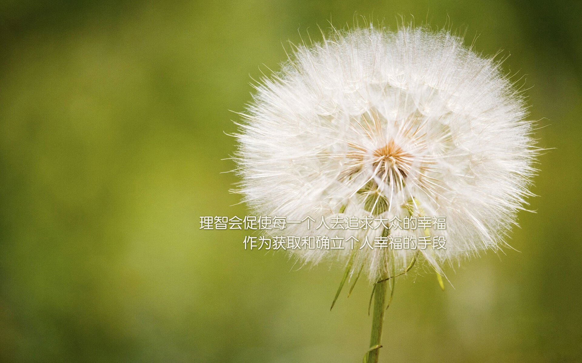 势均力敌！欧国联赛场上对手拼尽全力，欧国联比赛