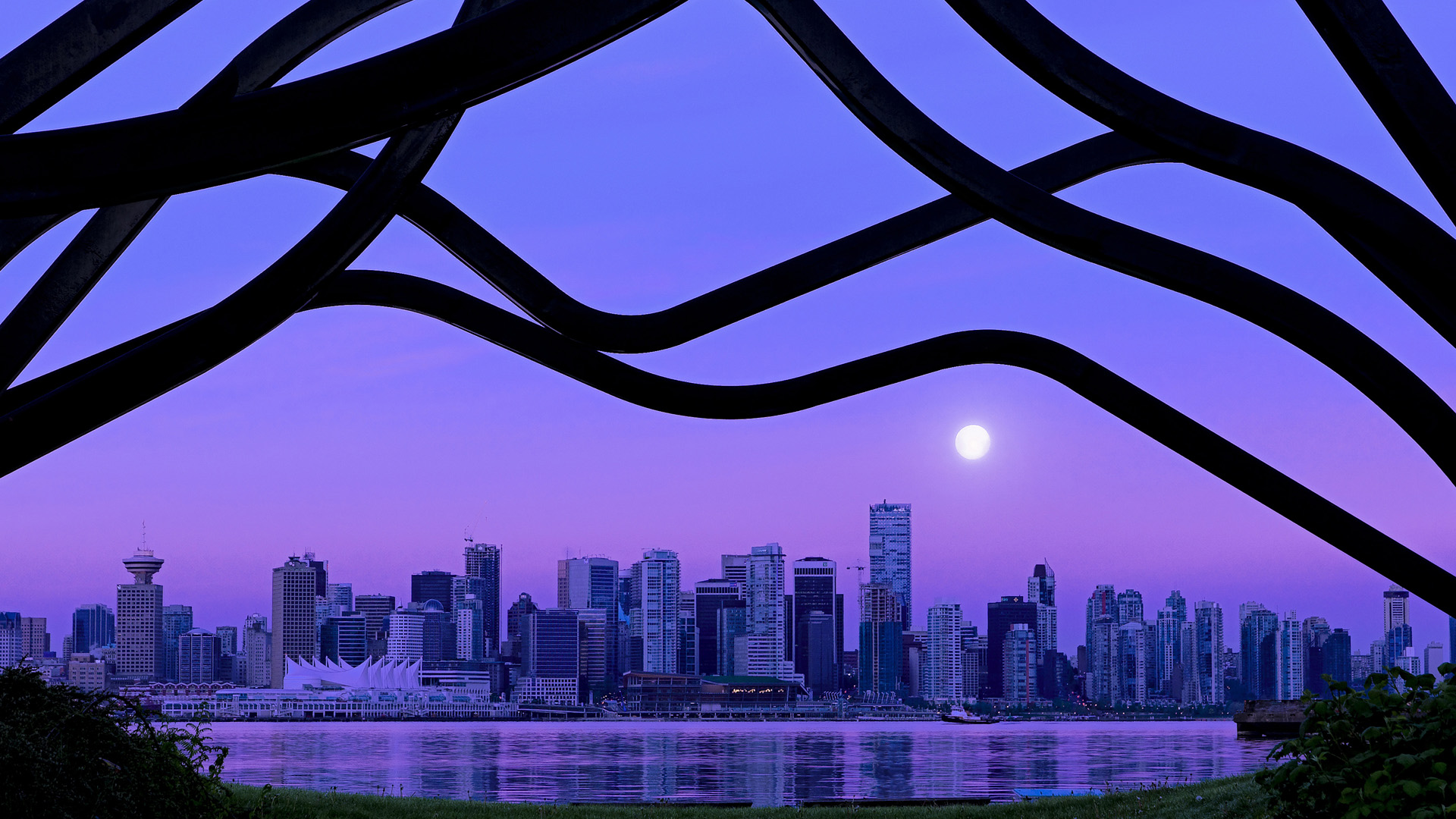 体育赛事观众行为分析与运营建议,现场观看体育赛事的优点