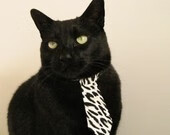 体育赛事观众行为分析与运营建议,现场观看体育赛事的优点